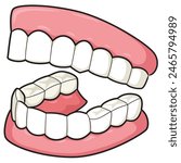 Illustration of cute dentures with white background