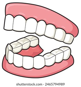 Illustration of cute dentures with white background