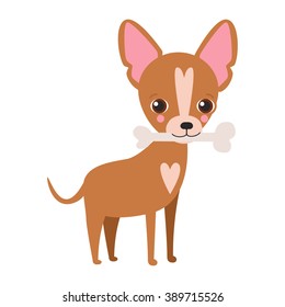 Illustration of cute dog Chihuahua. Nice puppy for greeting card, pet shop or veterinary clinics. Dog of breed Chihuahua. Vector dog illustration for greeting card