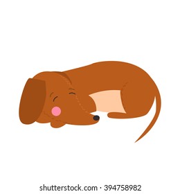 Illustration of cute dog dachshund. Nice puppy for greeting card, pet shop or veterinary clinics. Dog of breed dachshund. Vector dog illustration for greeting card. Dog dachshund sleep