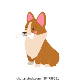 Illustration of cute dog Welsh Corgi. Nice puppy for greeting card, pet shop or veterinary clinics. Dog of breed Welsh Corgi. Vector dog illustration for greeting card. Dog Welsh Corgi holding a bone