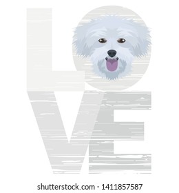 Illustration cute domestic dog Love Maltese
