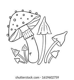 Illustration with cute doodle mushrooms. Bunch of witchy fungi.