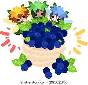 Illustration of cute flower fairies and a basket full of blueberries
