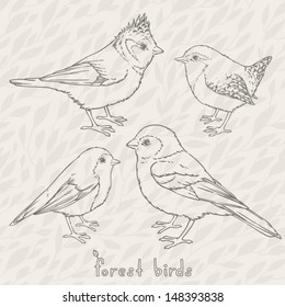 Illustration with cute forest birds