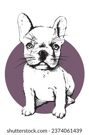 Illustration of cute french puppy dog