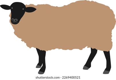 Illustration of a cute full body sheep standing