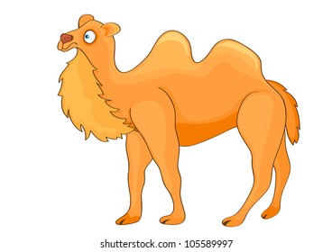 Illustration of cute funny camel on white background.