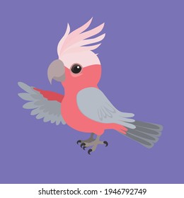 
An illustration of a cute galah cockatoo