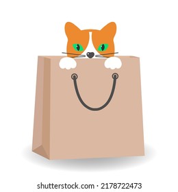 Illustration of a cute ginger cat in a bag with a shadow on a white background