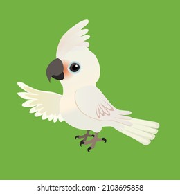 An illustration of a cute Goffin's cockatoo, His crest is up and he looks friendly at you. His left wing is up as if he is showing you something. The background is green.