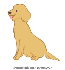 Illustration of cute golden retriever