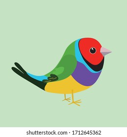 
An illustration of a cute goldian finch on a soft green background. It's a male bird.
