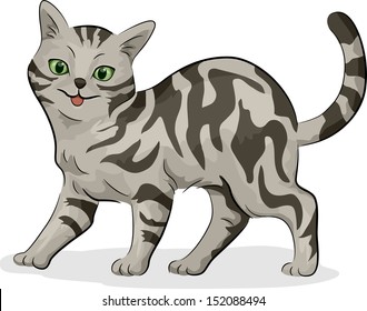 Illustration of a Cute Gray American Shorthair Cat