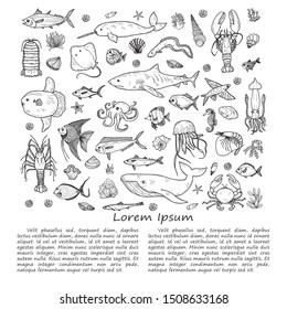 Illustration with cute hand drawn marine animals, fish and shells. Vector outline background. May use as coloring page. 