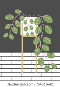 Illustration with cute home plant