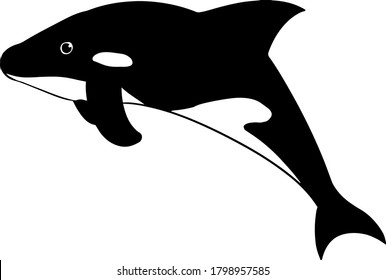 Ilustración de una linda ballena asesina llamada banda de mar