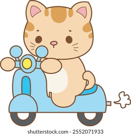 Illustration of cute kitty icon.
Funny cat in daily activities elements.
 Cat is driving a scooter