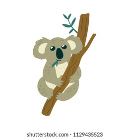 Illustration of Cute Koala Bear sits on the tree and eats leaves. Creative kids print. Vector hand drawn illustration.