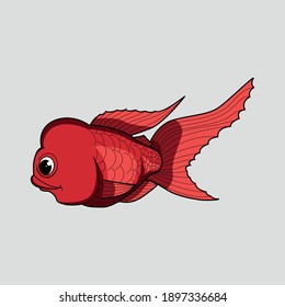 Illustration cute koi fish vector