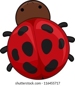 Illustration of a Cute Ladybug