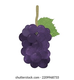 Illustration of cute large grapes