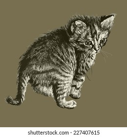 illustration with a cute little cat (hand draw)   
