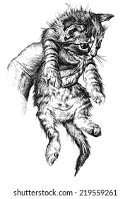 illustration of a cute little cat on a white background.