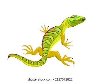 Illustration of cute little green goanna. Wildlife animals. Isolated drawing on white background. Print for fabric, fashion, decoration, embroidery, background, wallpaper. Flat cartoon vector.