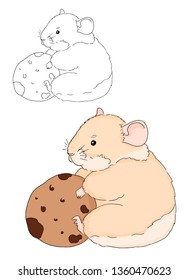 Illustration of cute little hamster with cookie on white background. Vector hand drawn picture of sitting hamster for coloring book for children. Colorful animal sketch.