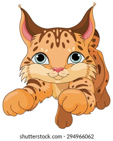 Illustration of cute lynx 