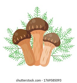 
It is an illustration of cute Matsutake