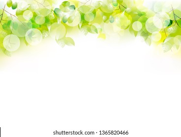 Illustration of cute natural leaves