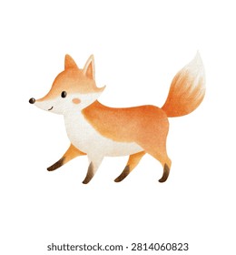 Illustration cute orange fox