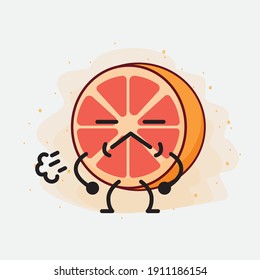 An illustration of Cute Orange Grapefruit Mascot Character