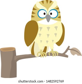 
Illustration of a cute owl