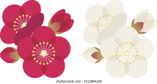 Illustration of cute plum blossom