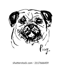 Illustration of a cute pug face.
