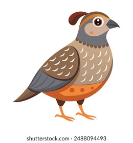 Illustration of Cute Quail animal on white