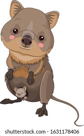 Illustration of cute quokka with cub