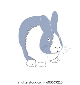 Illustration of a cute rabbit