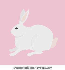 Illustration of cute rabbit. Bunny vector iillustration isolated on pink background.