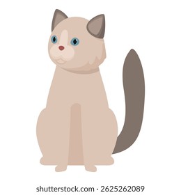 Illustration of a cute ragdoll cat sitting and looking up, isolated on white background