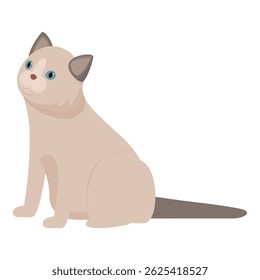 Illustration of a cute ragdoll cat sitting and looking up, isolated on a white background