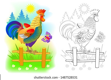 Illustration of cute rooster at sunrise. Colorful and black and white page for coloring book for kids. Domestic farm animal cock. Printable worksheet for children and adults. Vector cartoon image.