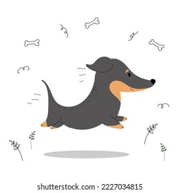 Illustration of a cute running dog.Cartoon dachshund on a walk with doodle elements
