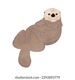 Illustration of a cute sea otter lying down