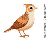 Illustration of cute skylark bird isolated