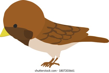 Illustration of a cute sparrow seen from the side
