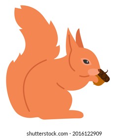 Illustration of cute squirrel eats nut on autumn background